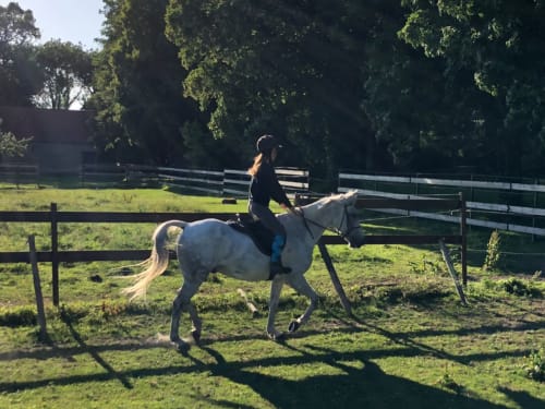 Activité équestre à La Tour Blanche, cavalier sur cheval blanc dans un paddock clôturé, Forest-Montiers