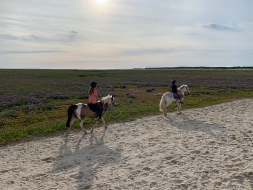 Deux cavaliers à cheval sur un chemin de plage sablonneux bordé de champs verts à La Tour Blanche, Forest-Montiers