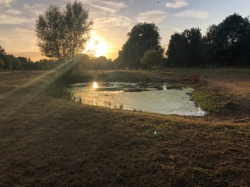 Coucher de soleil sur l'étang paisible et la prairie de La Tour Blanche B&B, Forest-Montiers, France