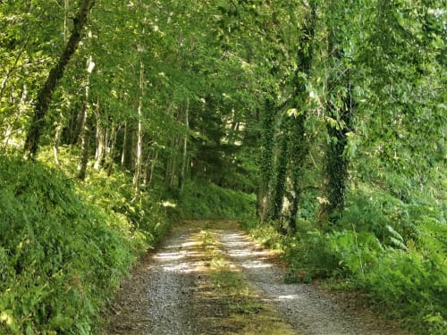 ballade en campagne dans le gite normand