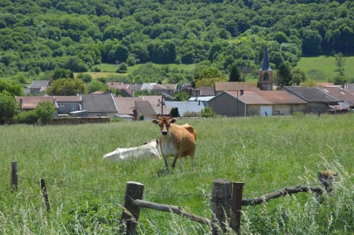 Vue sur le forêt qui entoure le village et qui donne son protection.
