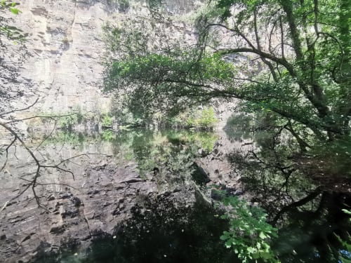 le lac en nature