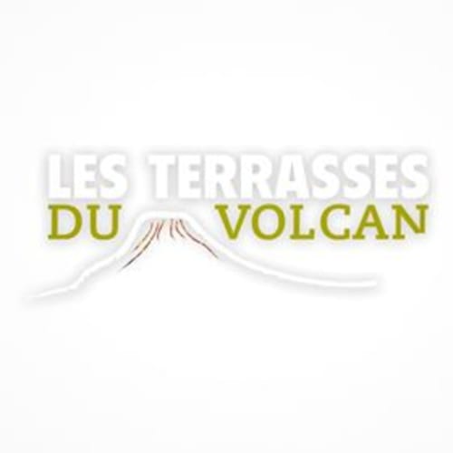 Logo Les Terrasses Du Volcan avec illustration de volcan, gîte et chambre d'hôtes au Tampon