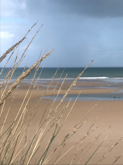 Des graminées côtières encadrent la plage de sable et la mer aux Filles du Bord de Mer, Port-en-Bessin