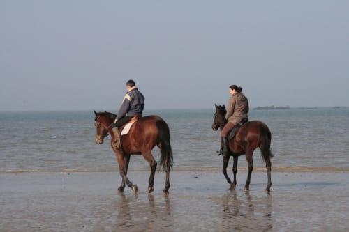 Deux cavaliers à cheval traversant les eaux peu profondes d'une plage près de Port-en-Bessin-Huppain, France