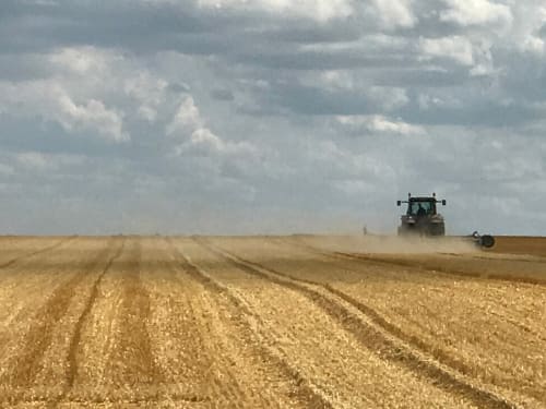 la moisson 