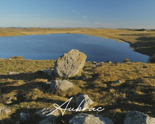Aubrac visiter