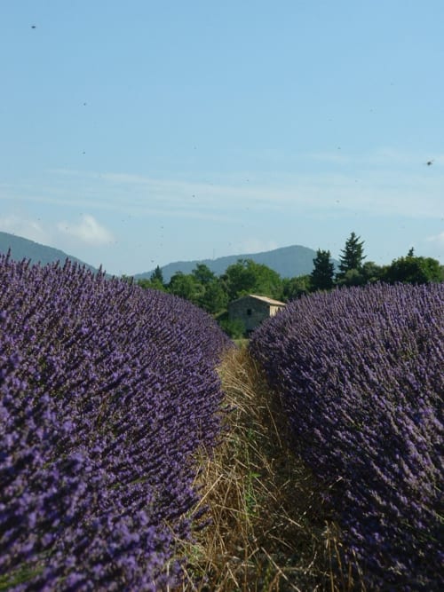 Le mazet, chambre d'hôtes de charme