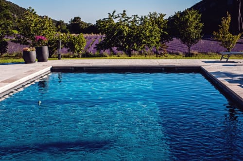 La piscine au Mas de la Lance avec sa magnifique vue sur les champs de lavande