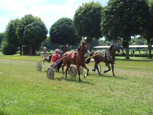 Courses de trot avec jockeys à l'hippodrome de Vittel, champ verdoyant et arbres en arrière-plan