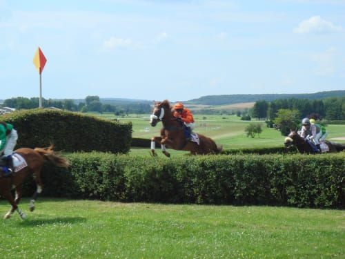 Événement de course hippique en campagne près de Vittel, France avec haies et paysage rural