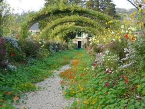 le jardin de C.Monet 