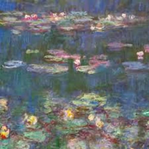 les nymphéas 