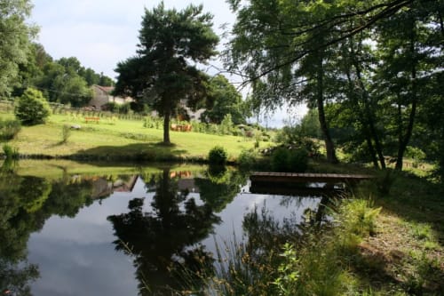 Venez vous reposer au pied de ce magnifique pin en bordure de l'étang