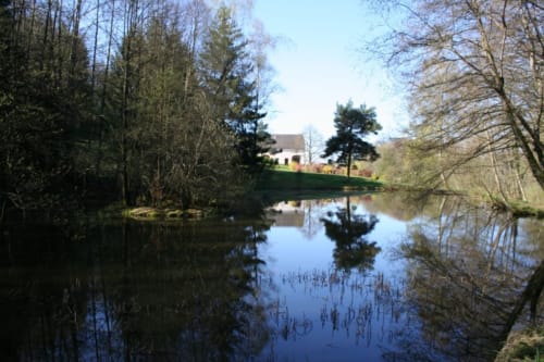 L'étang "La Landre" un matin ensoleillé.