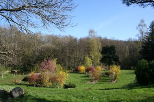 Vue du jardin d'agrément depuis la chambre "Rubis et Printanière", au fond le plan d'eau "la Landre", à gauche un plan d'eau d'agrément peuplé de poissons rouges.