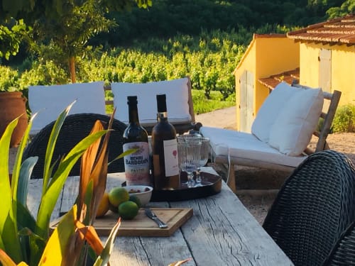 Outdoor terrace at Saint Martin B&B in Ollioules with wine bottles, glasses, and tropical plants overlooking vineyards