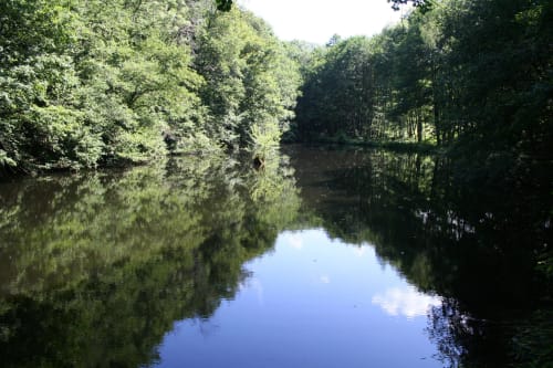 L’étang "la chapelle aux bois", calme assuré, vous pourrez y pêcher carpes et gardon en No-kill  