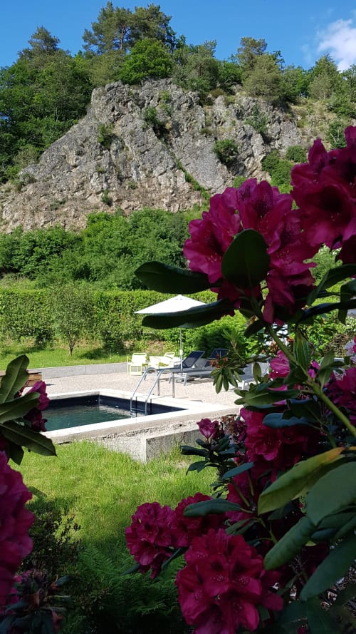 Zwembadgebied van Moulin Renaudiots met magenta bloemen, stenen kliffen en ligstoelen in Autun