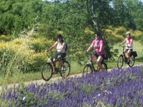 Balade en vélo électrique pour découvrir nos paysages bleu lavande