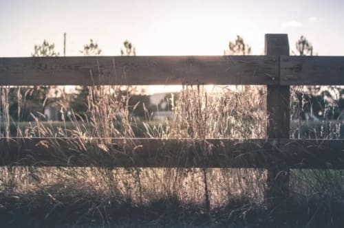 Frost-covered wetland reeds beyond wooden fence at Les gîtes des châteaux, Vallières-les-Grandes