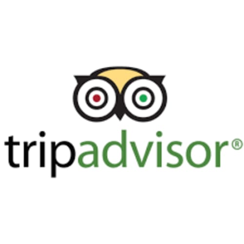 tripadvisor logo with a three-color owl head