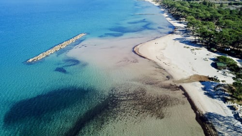 Chambre d'hôte de Charme en Corse-Calvi