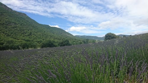 Paysages de notre région