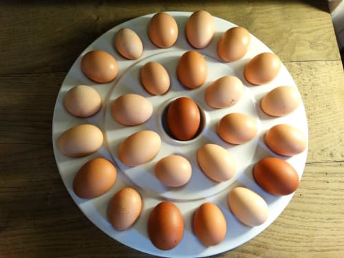 the house eggs !