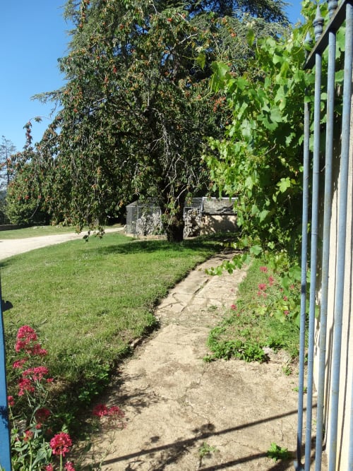 Un petit bout de chemin à Girolles les Forges