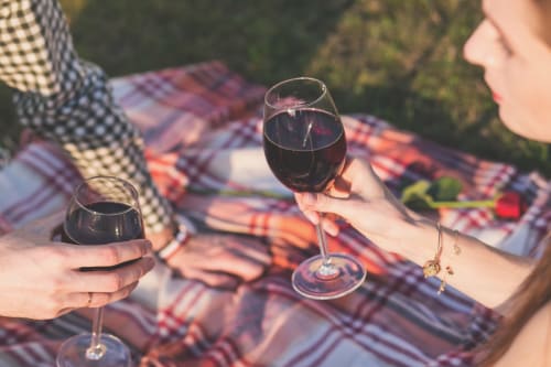 Two people toasting with red wine glasses at a picnic in Clichy, France near Hotel Residence Europe & Spa