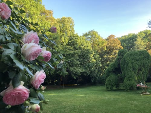 Pink roses in bloom overlooking manicured gardens at Le château d'Hermonville luxury B&B in Hermonville, France