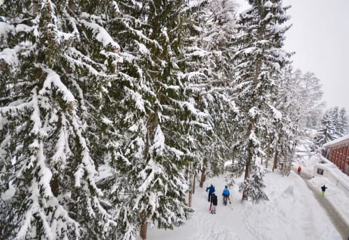 Accés ski aux pieds pour les pistes  devant l'appartement cosyarc Bellecoté -Charvet -Arc 1800