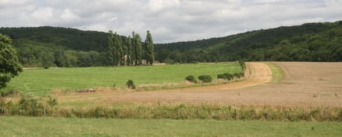 orchidée sauvage réserve naturelle faune flore nature cerf brame chevreuil renard sanglier étangs ruisseau prairie forêt animaux ferme cochon lapin poules canards chèvre brebis âne ânesse pintade oie jard permaculture bière artisanale gastronomie repas table d'hôte saucisse de Morteau légumes