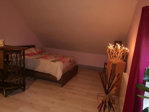 orchidée sauvage réserve naturelle faune flore nature cerf brame chevreuil renard sanglier étangs ruisseau prairie forêt animaux ferme cochon lapin poules canards chèvre brebis âne ânesse pintade oie jard permaculture bière artisanale gastronomie repas table d'hôte saucisse de Morteau légumes dormir hébergement appartement chambre repos piscine spa jacuzzi histoire jeux trampoline toboggan balançoire ping pong baby foot