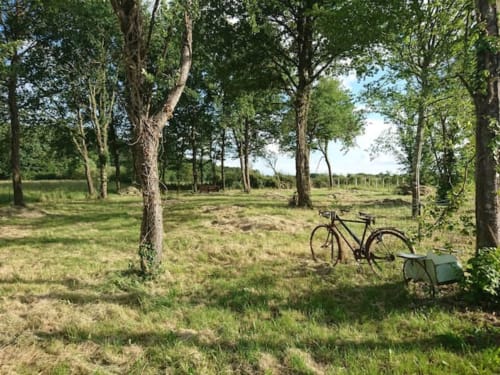 Vélo garé sous les arbres dans le parc herbeux des gîtes des châteaux, un gîte français à Vallières-les-Grandes