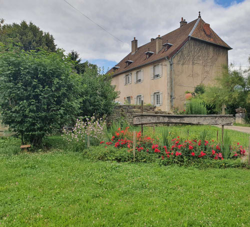 orchidée sauvage réserve naturelle faune flore nature cerf brame chevreuil renard sanglier étangs ruisseau prairie forêt animaux ferme cochon lapin poules canards chèvre brebis âne ânesse pintade oie jard permaculture bière artisanale gastronomie repas table d'hôte saucisse de Morteau légumes dormir hébergement appartement chambre repos piscine spa jacuzzi histoire