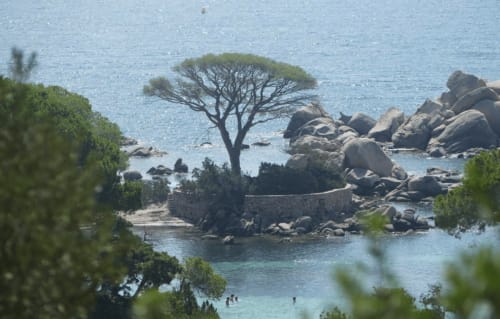 Palombaggia, plage, villa, Villa Pascialella, Corse, piscine, Porto Vecchio