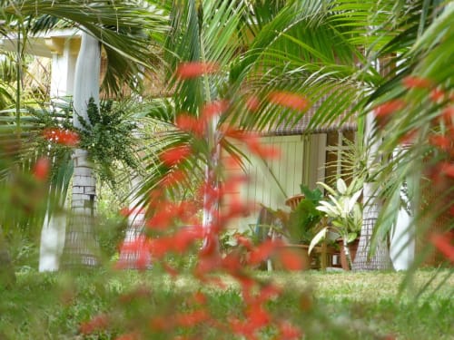 Studio, Saint-Leu, La Réunion, Cases Couleur