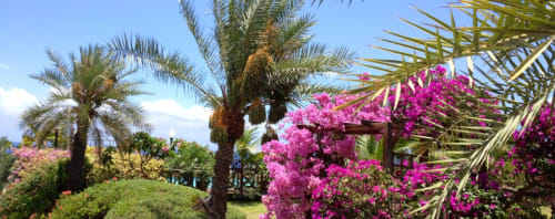 Villa, Saint-Leu, La Réunion, Cases Couleur