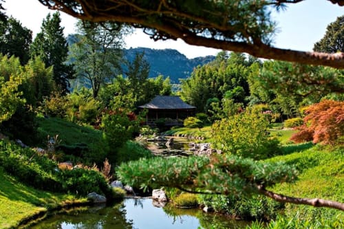 Bambouseraie, Provence Gardoise, Cévennes, La Bastide des Mûriers, Hôtel de charme