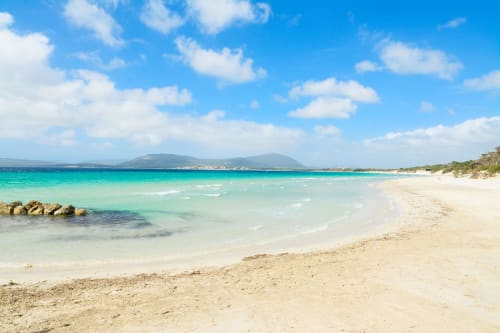 Porto Torres | Agriturismo Sa Suerera - Olmedo