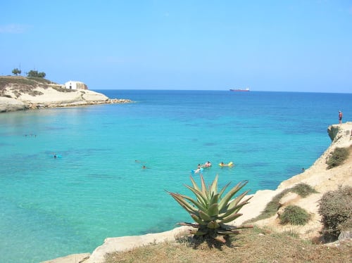 Alghero | Agriturismo Sa Suerera - Olmedo