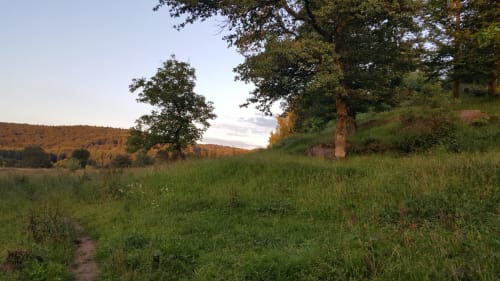 Jardin. Roulotte au naturel. Roulottes. Ma roulotte sous les Chênes. Raon aux bois. Vosges.