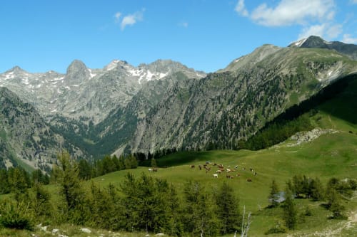 Park of Mercantour. Gîtes dela Le Var. In the middle of nature. Guillaumes. Maritime Alps.