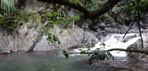 Nature. Madikera Lodges. Vanille lodge. Muscade Lodge. Marin. Martinique.