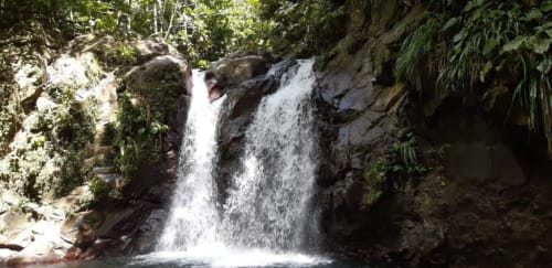 Cascade. Madikera Lodges. Vanille lodge. Muscade Lodge. Marin. Martinique.