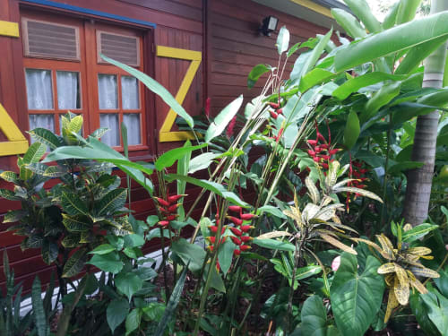 Ti Plèn Kréol bungalows gîtes Guadeloupe Pointe Noire
