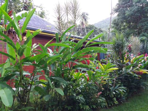 Ti Plèn Kréol bungalows gîtes Guadeloupe Pointe Noire