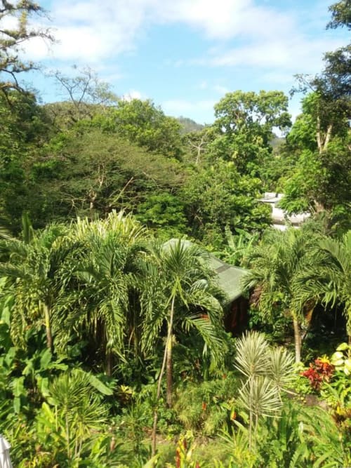 Ti Plèn Kréol guadeloupe Pointe Noire